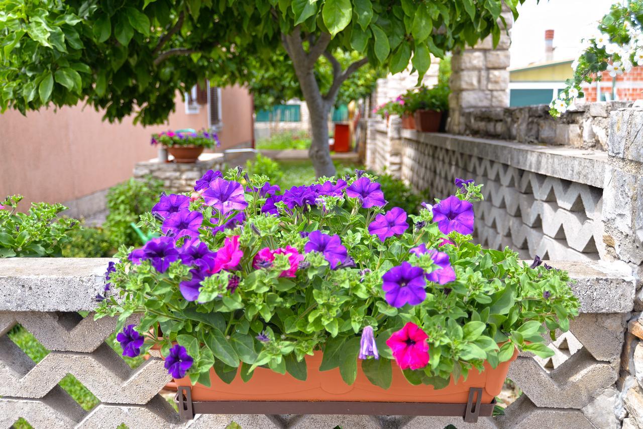 Apartments Orange 167 Novigrad  Luaran gambar
